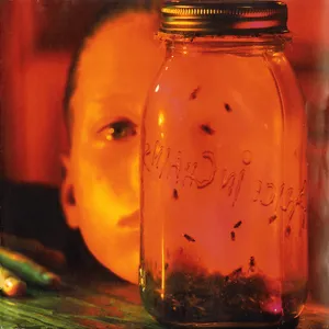 Jar of flies
